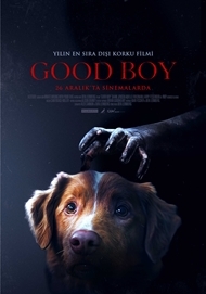 Good Boy