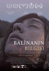 Balinanın Bilgisi