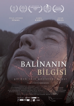 Balinanın Bilgisi
