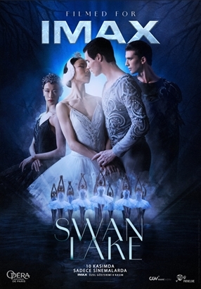 Swan Lake