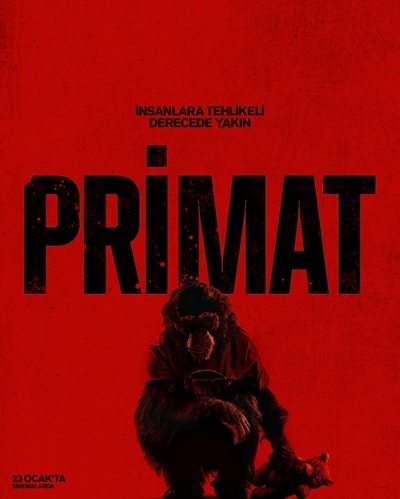 Primat